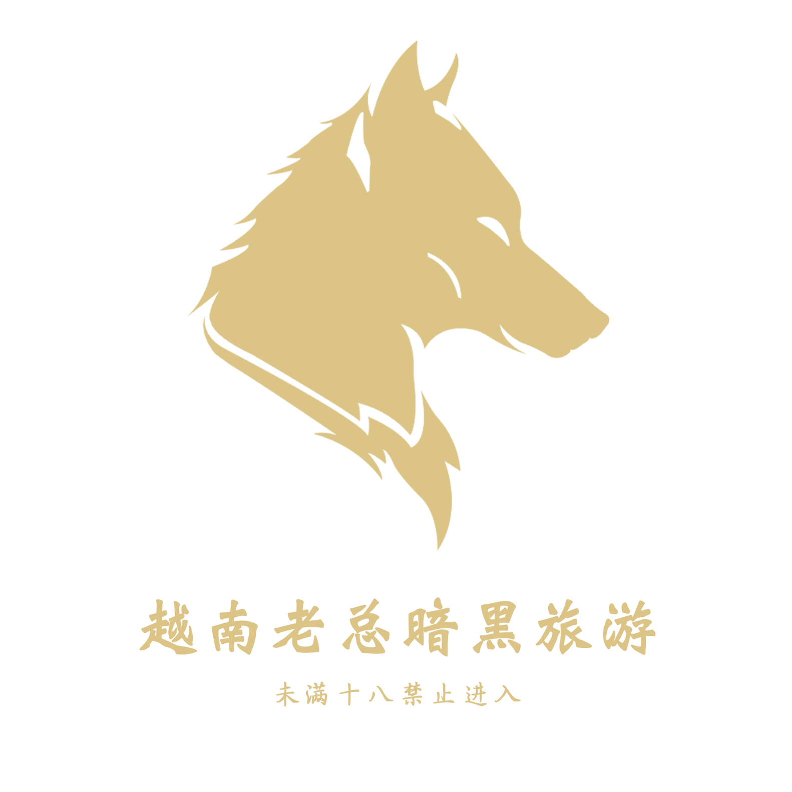 越南老總暗黑旅遊